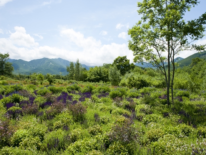 The Tokachi Millennium Forest