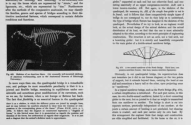 Pages from the 1942 edition of On Form and Growth by D'Arcy Wentworth Thompson