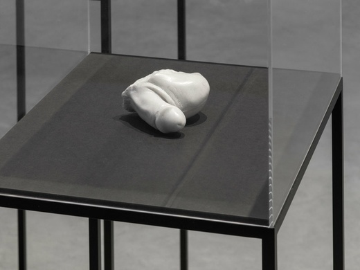 Fragment (penis and scrotum) (2015) by Nasan Tur. From The Others. Image courtesy of König Galerie