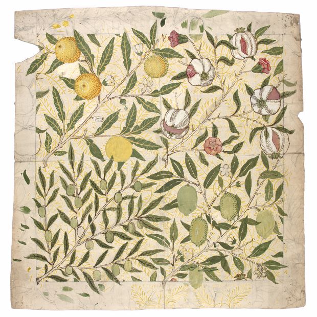 Design for fruit wallpaper (1862) by William Morris