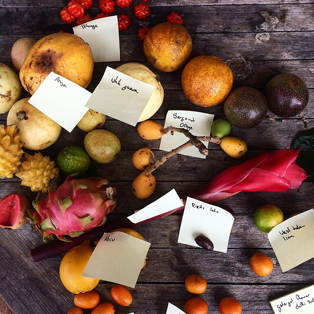A selection of Australian fruit. Image courtesy of René Redzepi's Instagram