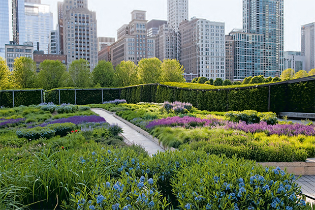 The Lurie Garden in Chicago by Piet Oudolf