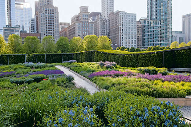 Piet Oudolf on The High Line and restoring prairies | Design | Agenda | Phaidon on Oudolf Garden
 id=61041