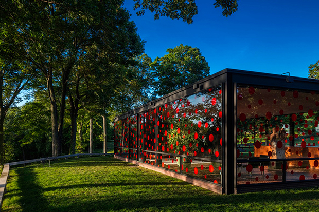 Yayoi Kusma's installation at Philip Johnson's Glass House. Photograph by Matthew Placek