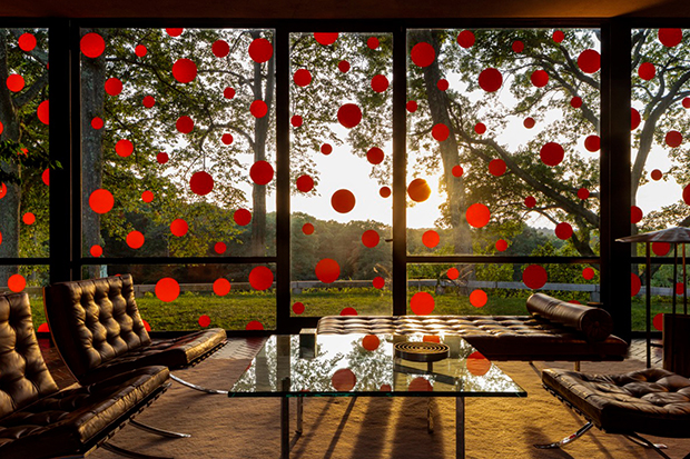 Yayoi Kusma's installation at Philip Johnson's Glass House. Photograph by Matthew Placek