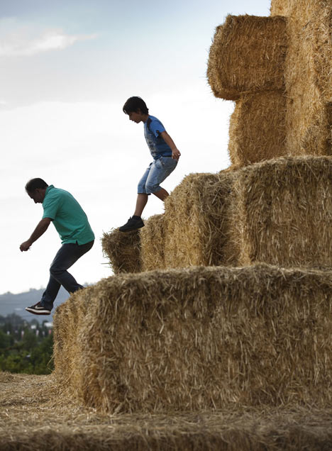 IUT Group's Agricultural Mountain