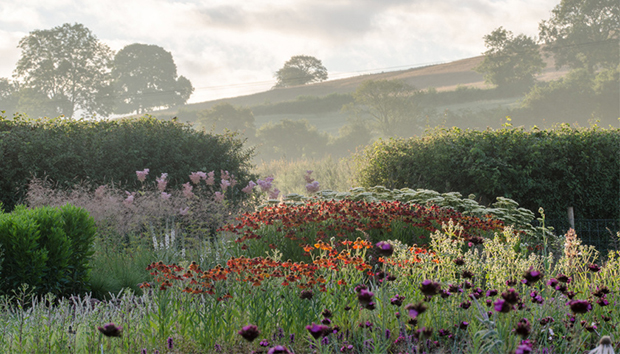 Hauser & Wirth, Somerset