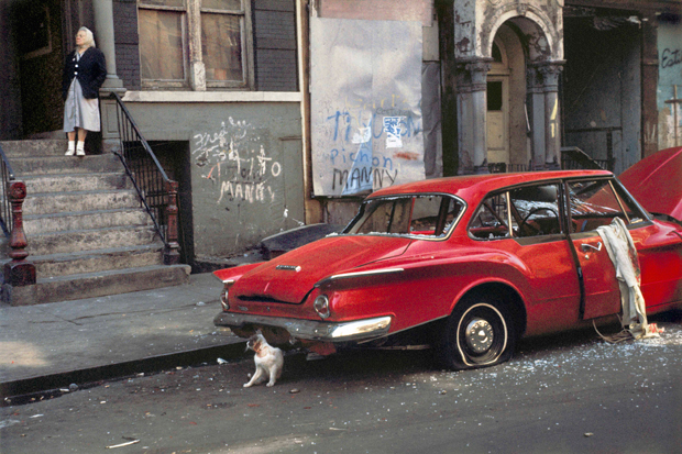 Helen Levitt - Cat next to red car, New York - 1973