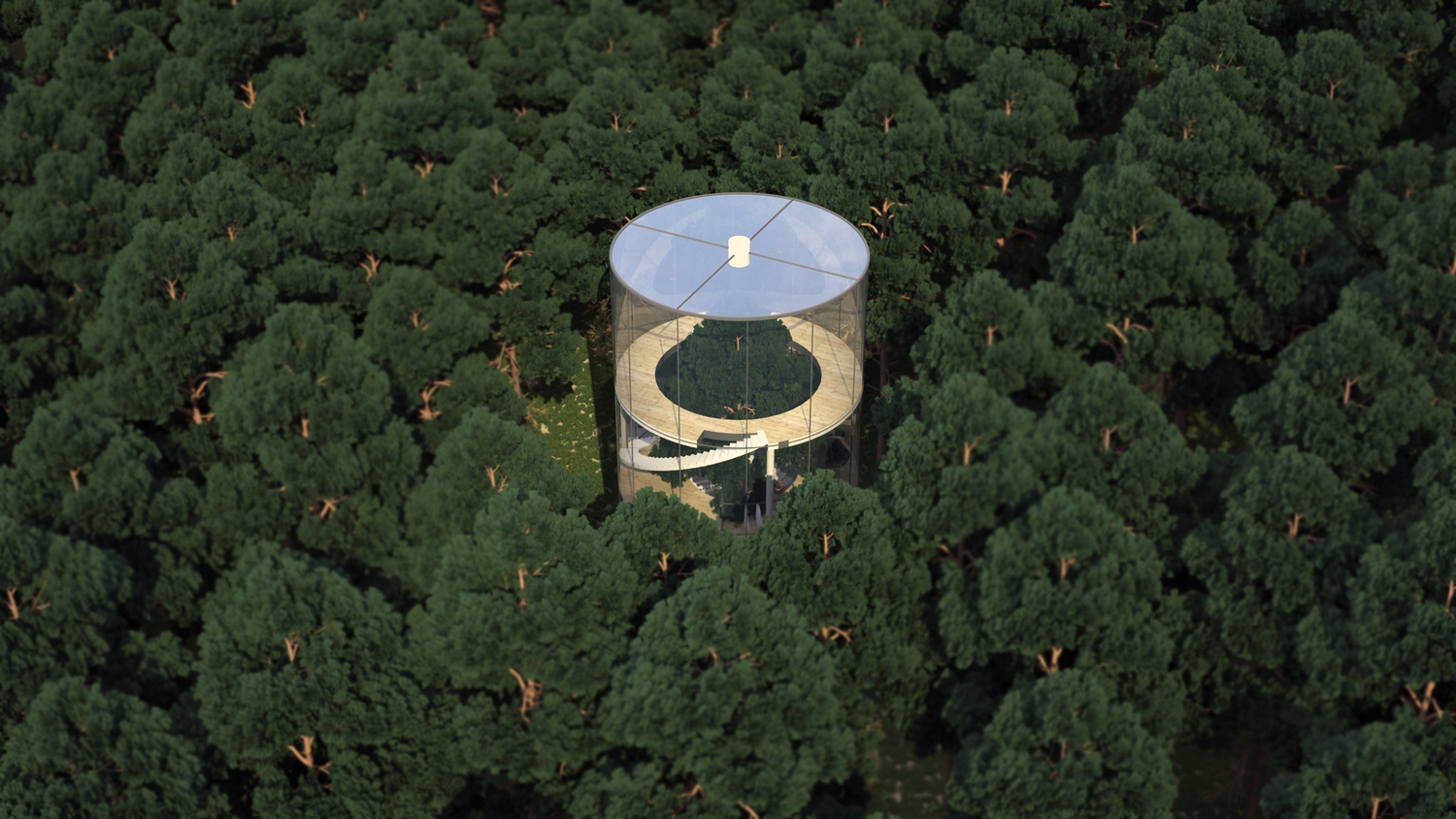 Aibek Almasov's Tree in a House