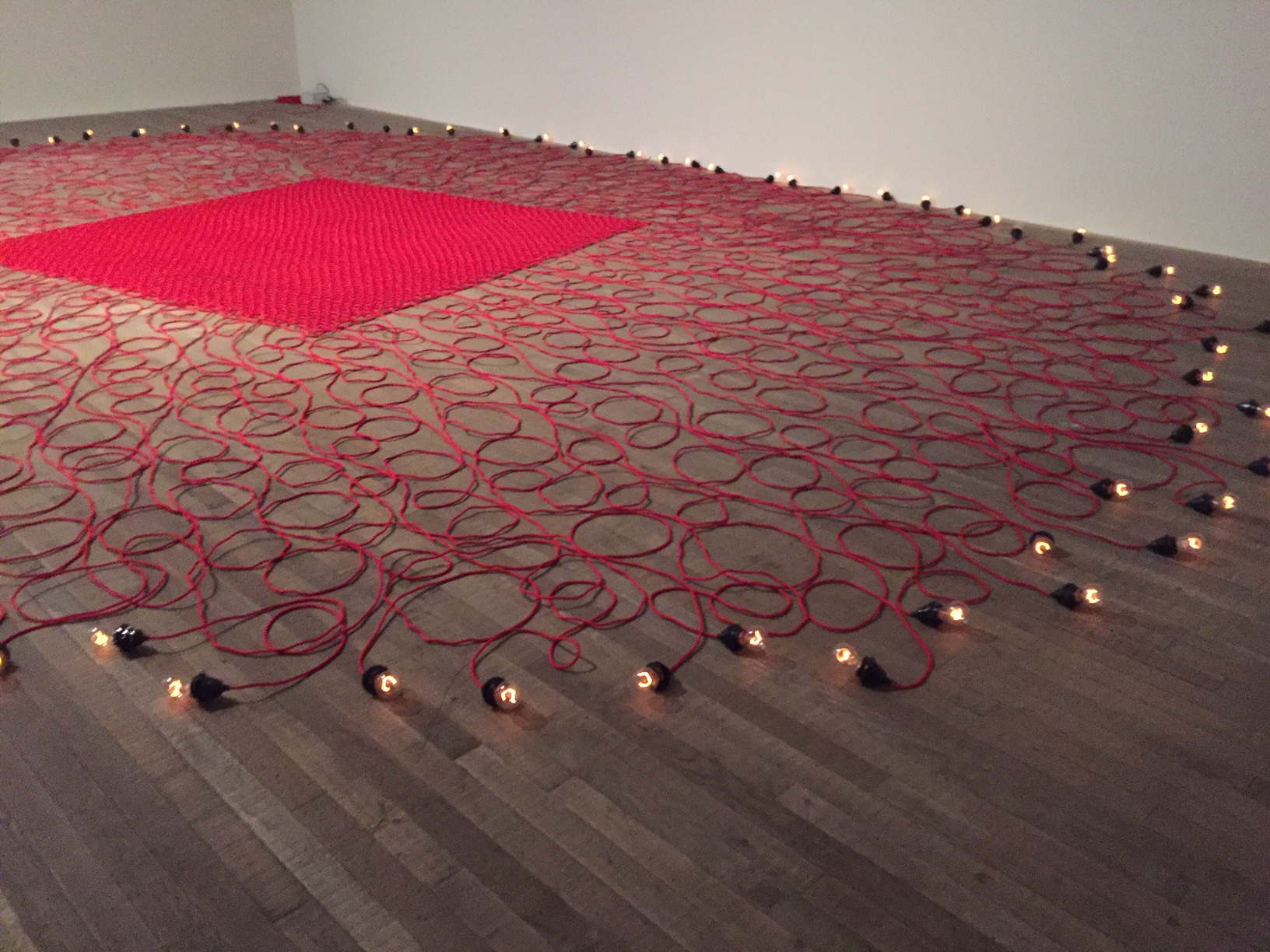 Undercurrent (red) 2008 - Mona Hatoum at Tate Modern, photo Mat Smith