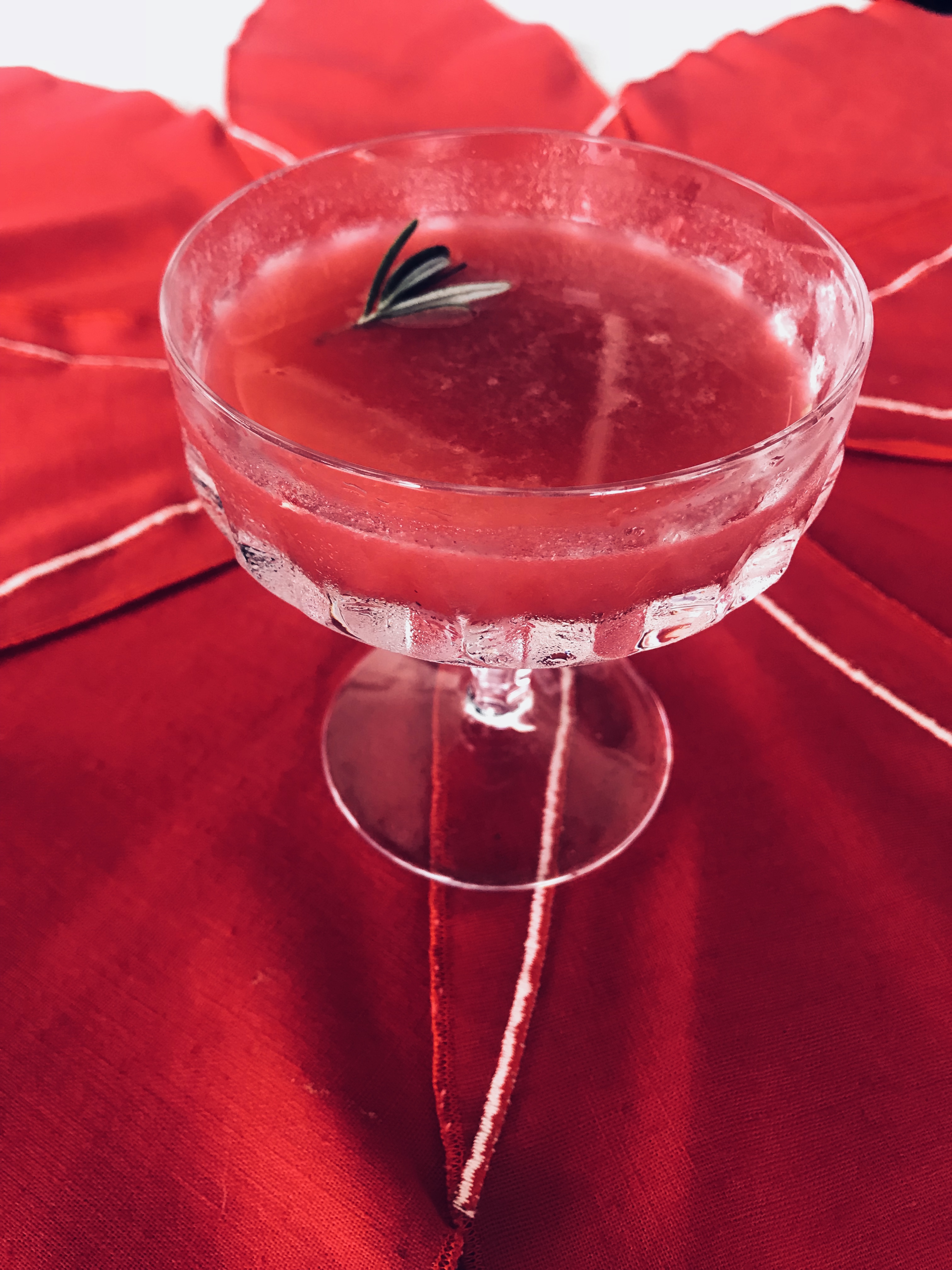 Georgette Moger photographed her New Year Cranberry Cosmonaut cocktail