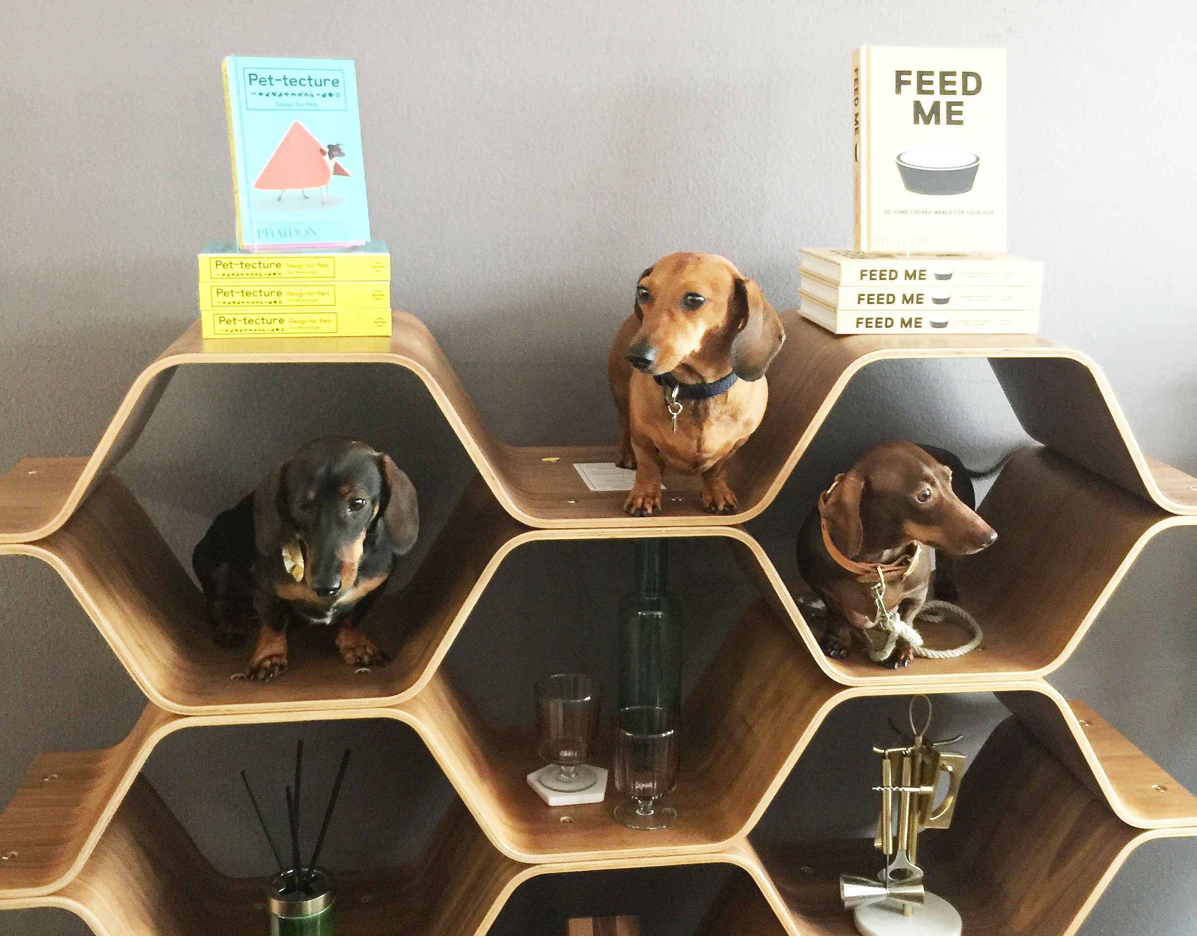 With such high profile guests there was inevitably the odd bit of shelf-im-paw-tance on show