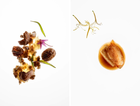 José Luis López de Zubiria's award winning photographs from Mugaritz restaurant