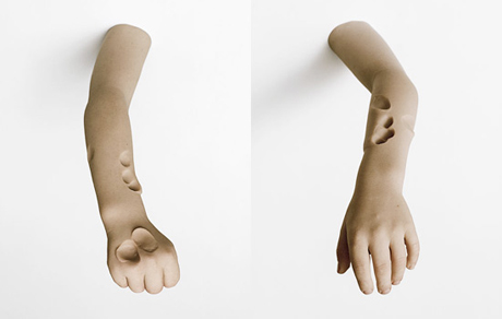 Andres Krisar, Arm (right) and Arm (left) (2006)