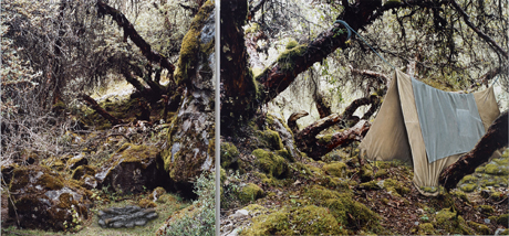 Alex Hartley, I'm tired of travelling (2011), Diptych, constructed mixed media on C-type photograph