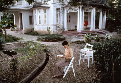 Steve McCurry, 'Aung San Suu Kyi in her garden' (1996)