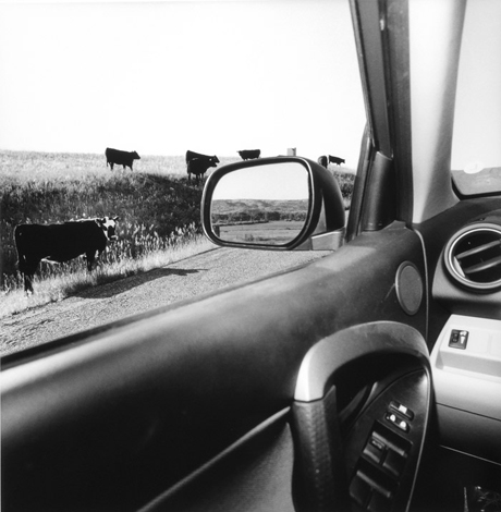 Lee Friedlander's Road Trip