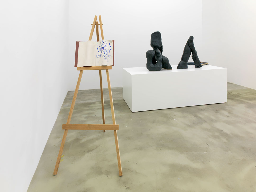 Installation view, Wonderful Audience Member, Soy Capitán, Berlin 2016 - Jesse Wine - courtesy the artist; Mary Mary, Glasgow