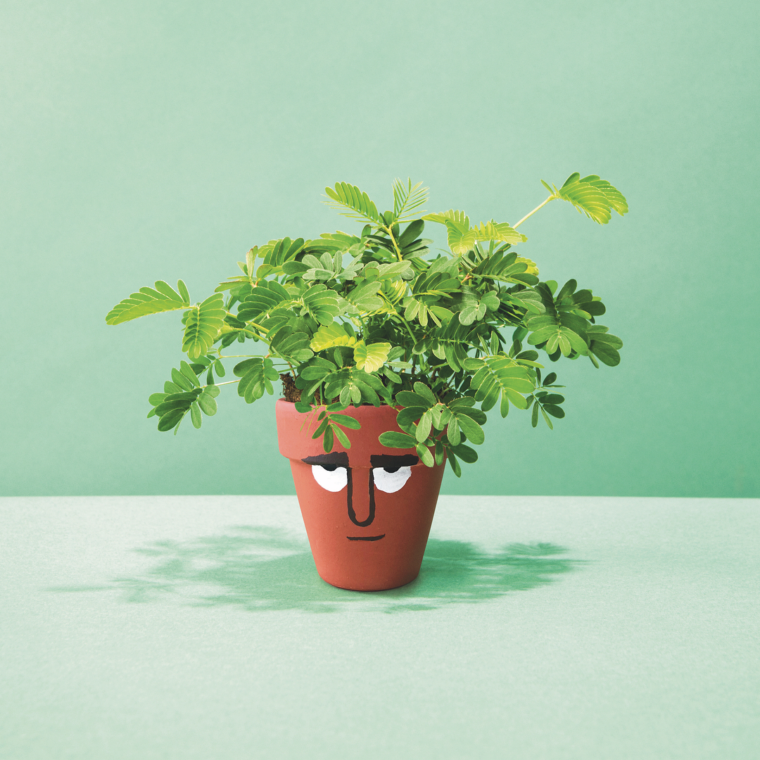 Jean Jullien gives a face to a brainy plant