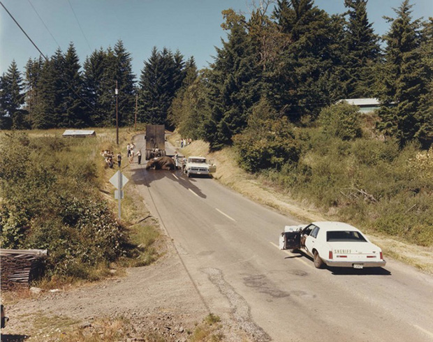 Exhausted Renegade Elephant, Woodland, Washington © Joel Sternfeld. Image courtesy of Luhring Augustine and Beetles + Huxley. This image forms part of Joel Sternfeld Colour Photographs: 1977 - 1988