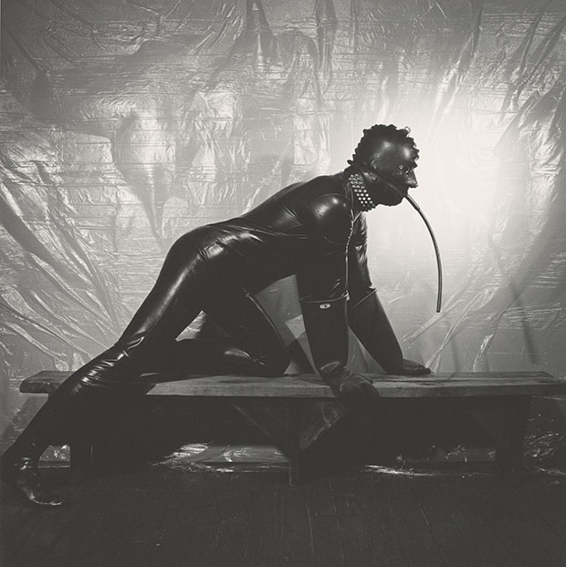 Joe NYC, 178 by Robert Mapplethorpe. Image courtesy of LACMA. © Robert Mapplethorpe Foundation