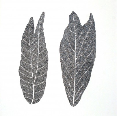 Labranzas series I (2006) by Johanna Calle