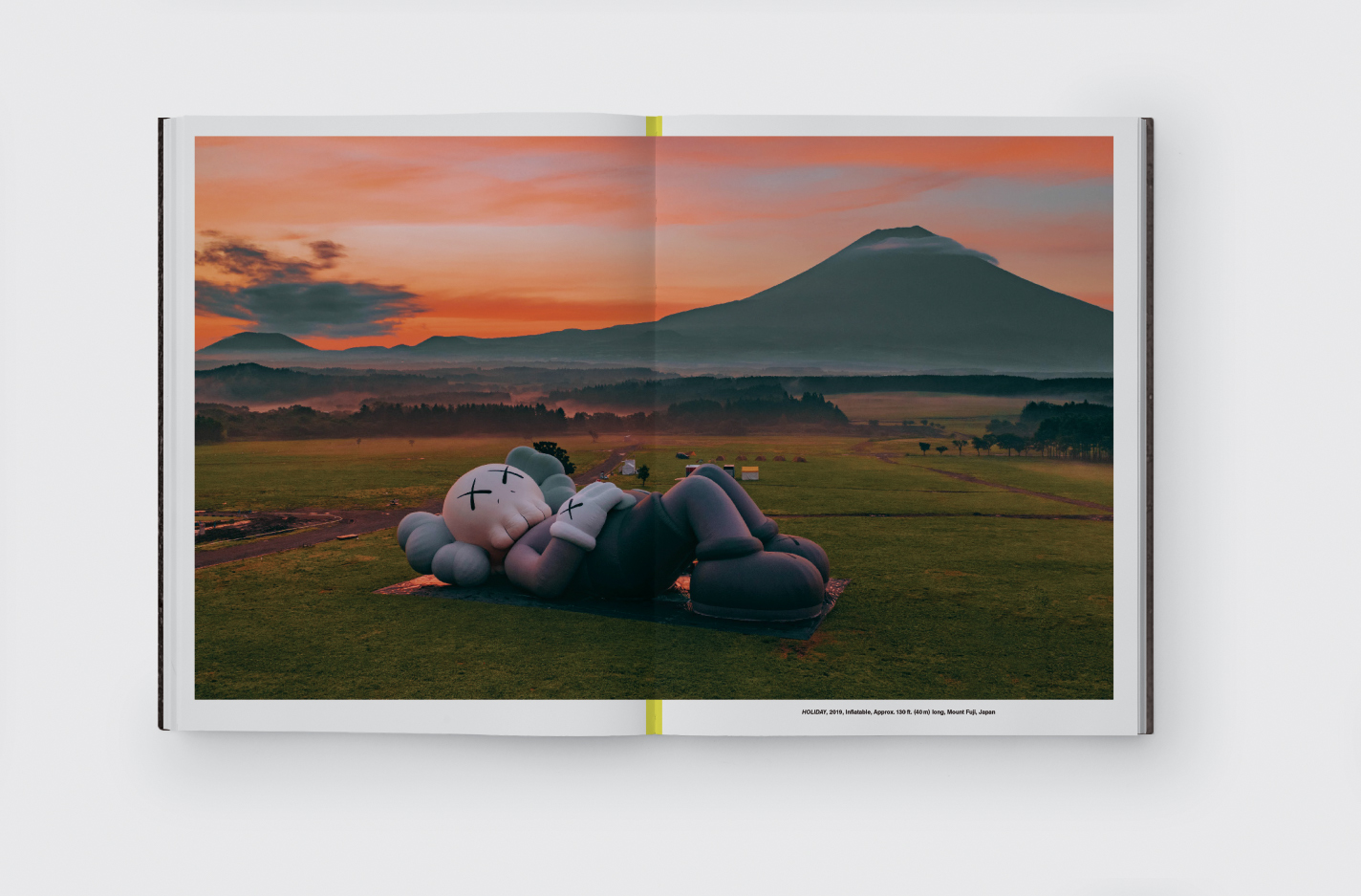 All you need to know about KAWS WHAT PARTY art Agenda Phaidon photo