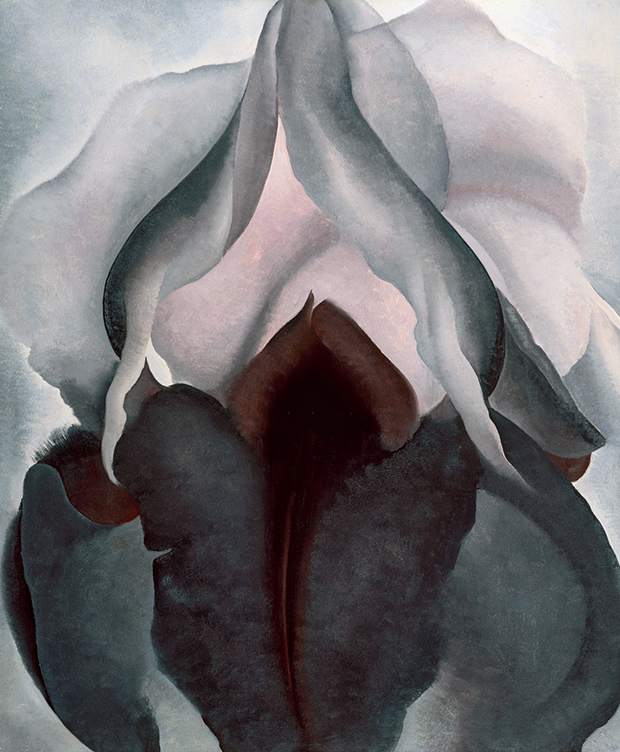 Black Iris (1926) by Georgia O'Keeffe