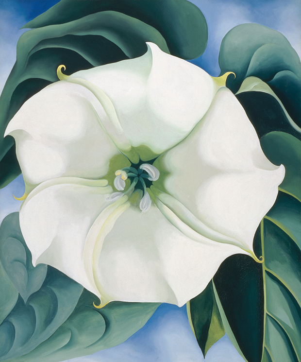 What do you see in Georgia O'Keeffe's flowers? | art | Agenda | Phaidon