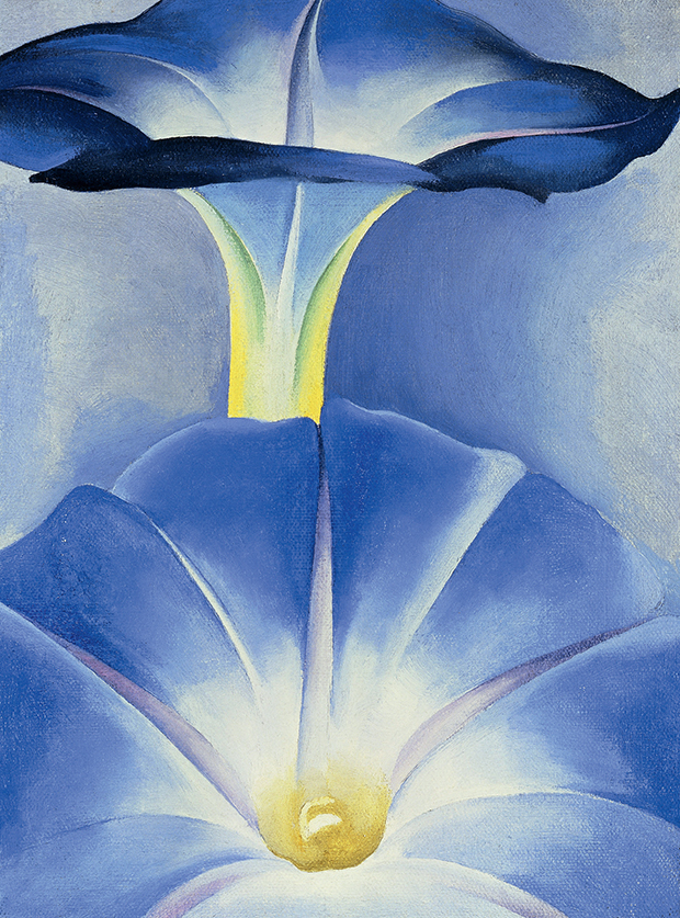 What Do You See In Georgia O Keeffe S Flowers Art Phaidon