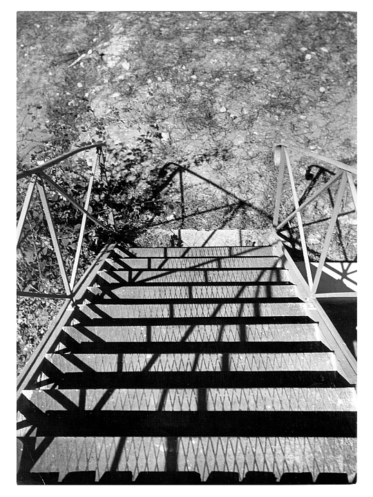 Shadows on Stairs, Villa La Combe, Meschers, 1950, by Ellsworth Kelly.