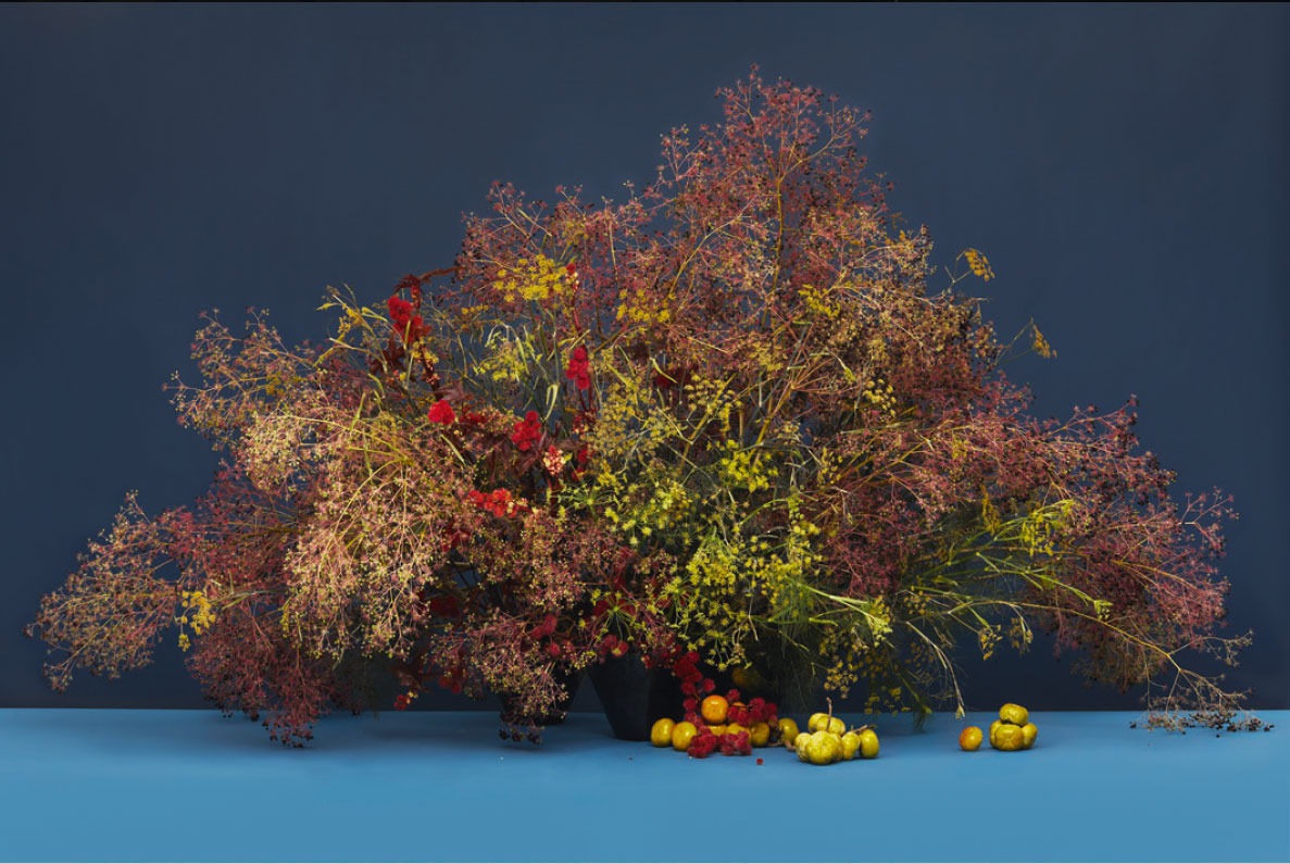 Devil's walking stick (Aralia spinosa), wild fennel, dill weed and wild castor pods, by Emily Thompson. Photograph by Kyoko Hamada as featured in Blooms: Contemporary Floral Design