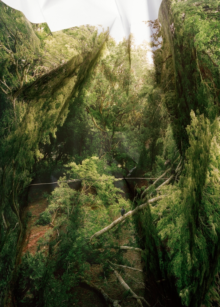 Response to print of Vulture Roost, Texas (2010) by Laura Plageman