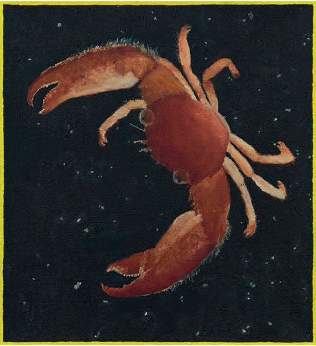Leidy Churchman - Crab and Plankton, 2014 courtesy Murray Guy, New York