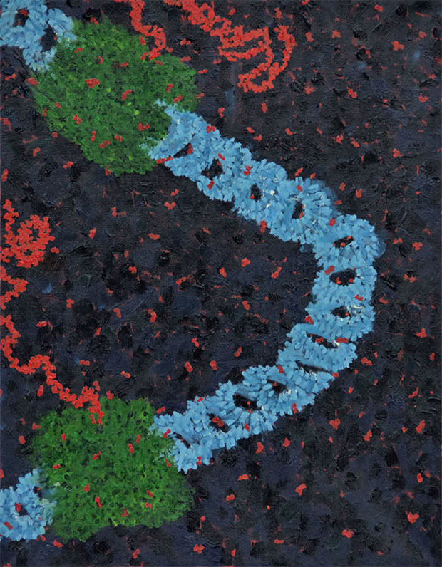 Leidy Churchman - Native Elongating Transcript Sequencing Reveals Human Transcriptional Activity at Nucleotide Resolution, 2015 courtesy Murray Guy, New York