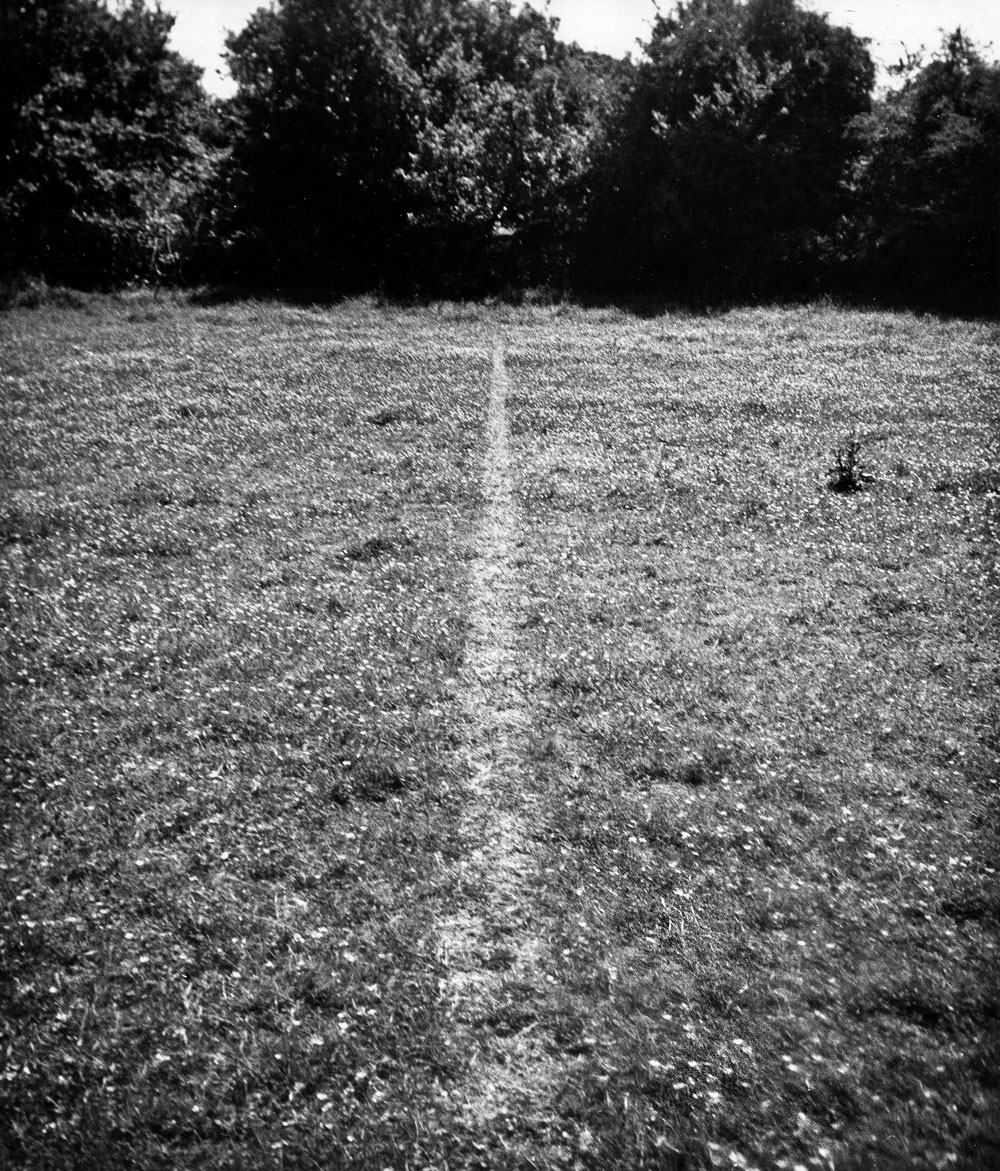 A Line Made by Walking (1967) by Richard Long. Photograph courtesy of the artist