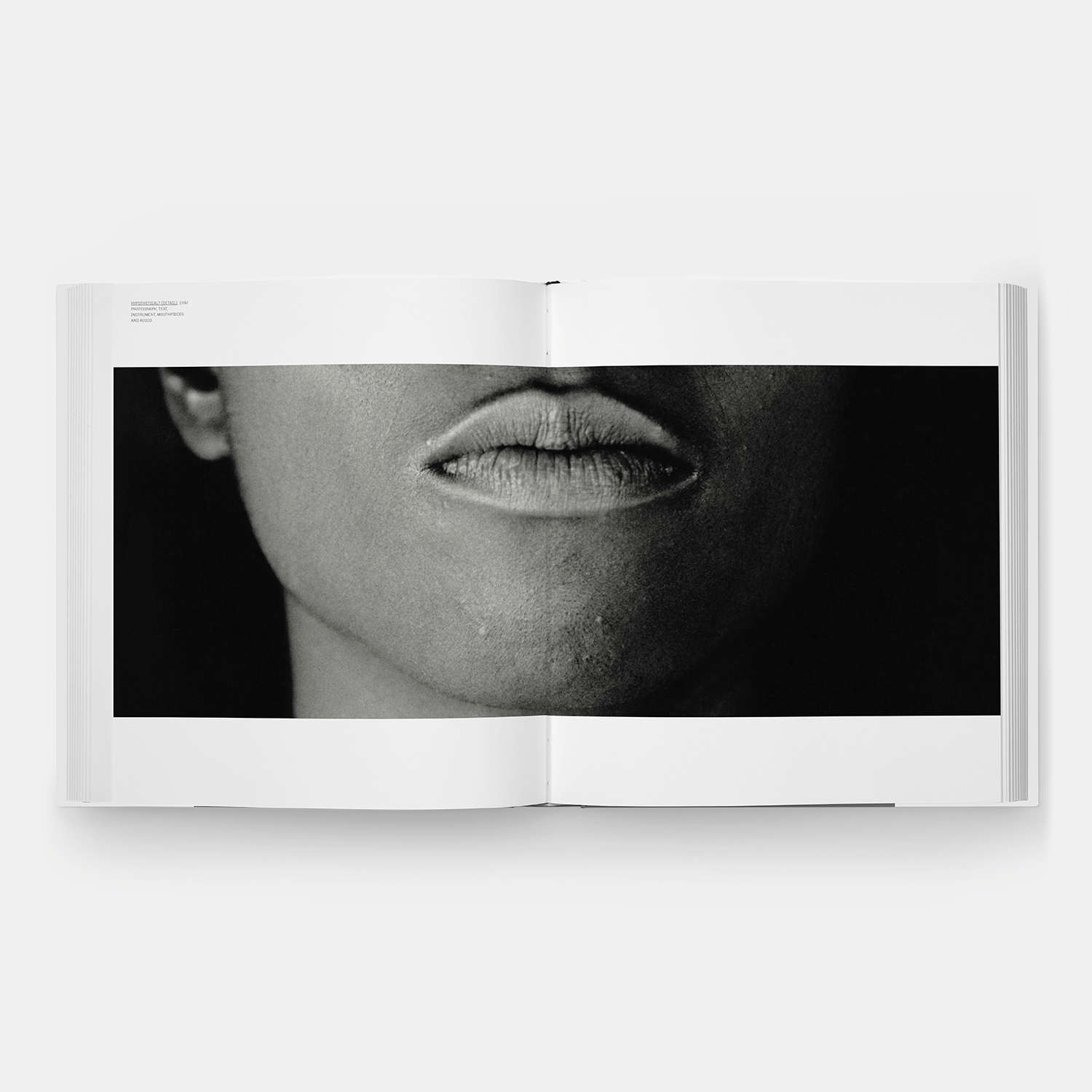 Pages from Lorna Simpson