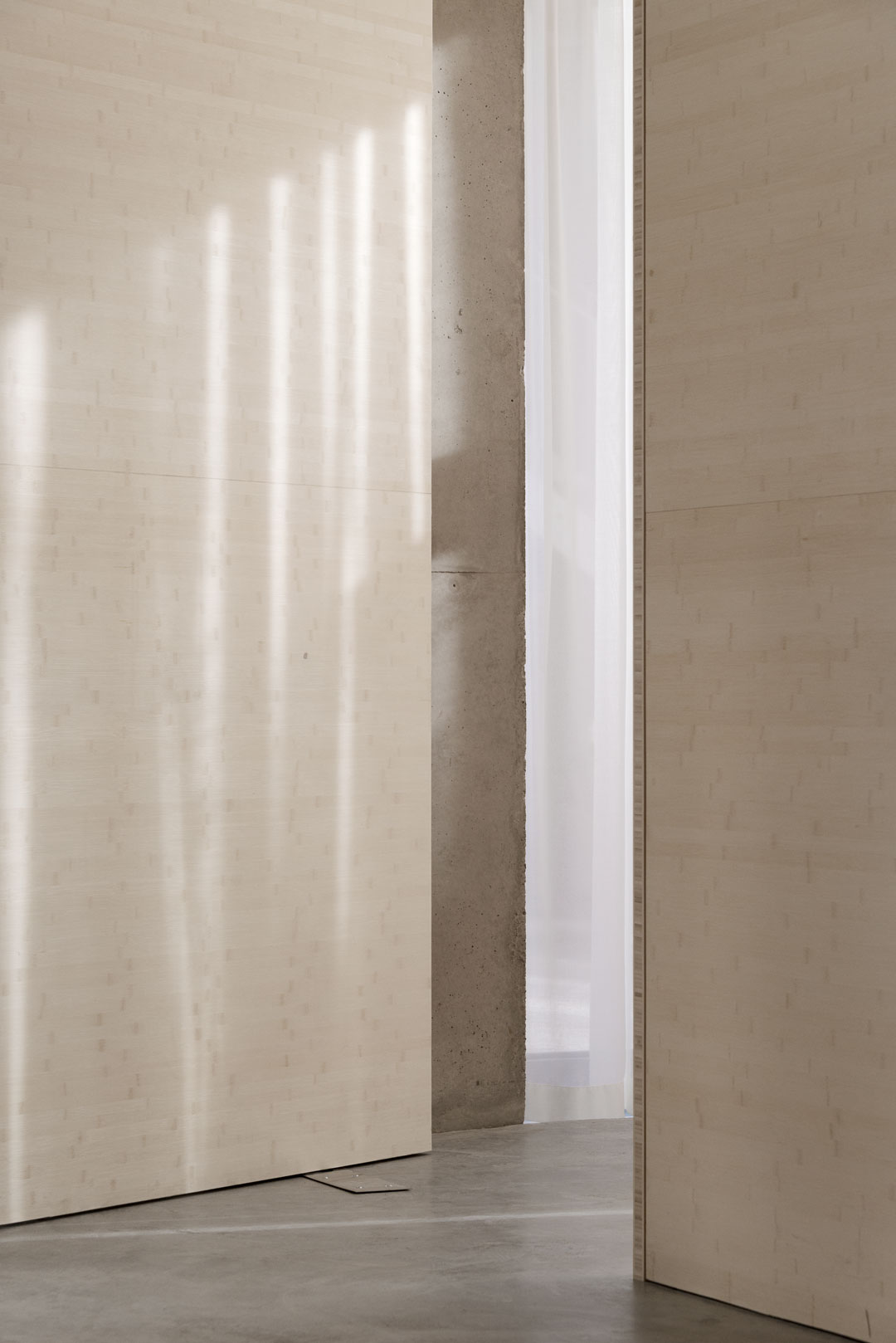 Steven Holl's new Maggie's Centre. Photography by Marcela Spadaro and Freya Najade of NAARO