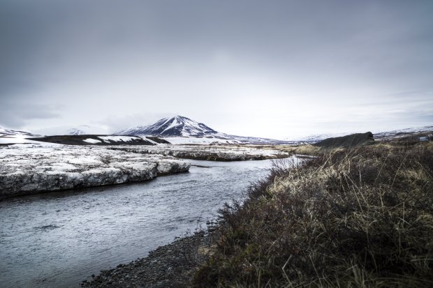 One of Magnus Nilsson's photographs for The Nordic Cookbook