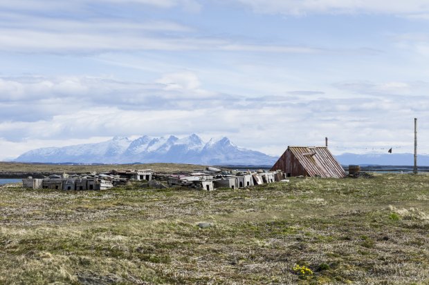 One of Magnus Nilsson's photographs for The Nordic Cookbook