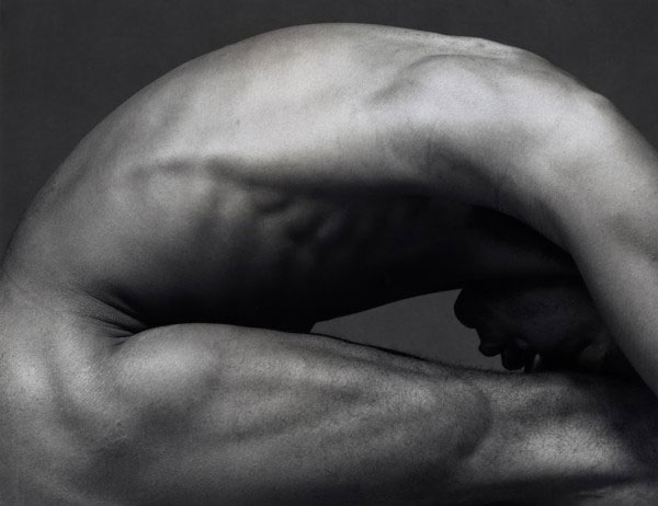 Robert Mapplethorpe, Jason, (1983) Photo: courtesy Galerie Thaddaeus Ropac, © Robert Mapplethorpe Foundation, Inc. All rights reserved.