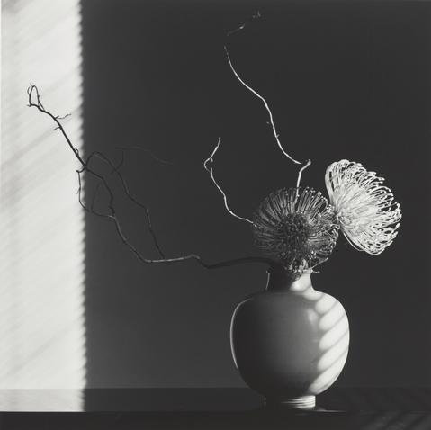 Flower Arrangement, 1986, by Robert Mapplethorpe. Gelatin silver print Image: 49 x 49 cm (19 5/16 x 19 5/16 in.) Promised Gift of The Robert Mapplethorpe Foundation to the J. Paul Getty Trust and the Los Angeles County Museum of Art, L.2012.89.566 © Robert Mapplethorpe Foundation