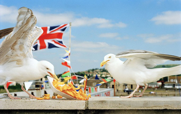 Martin Parr - England West Bay 1996