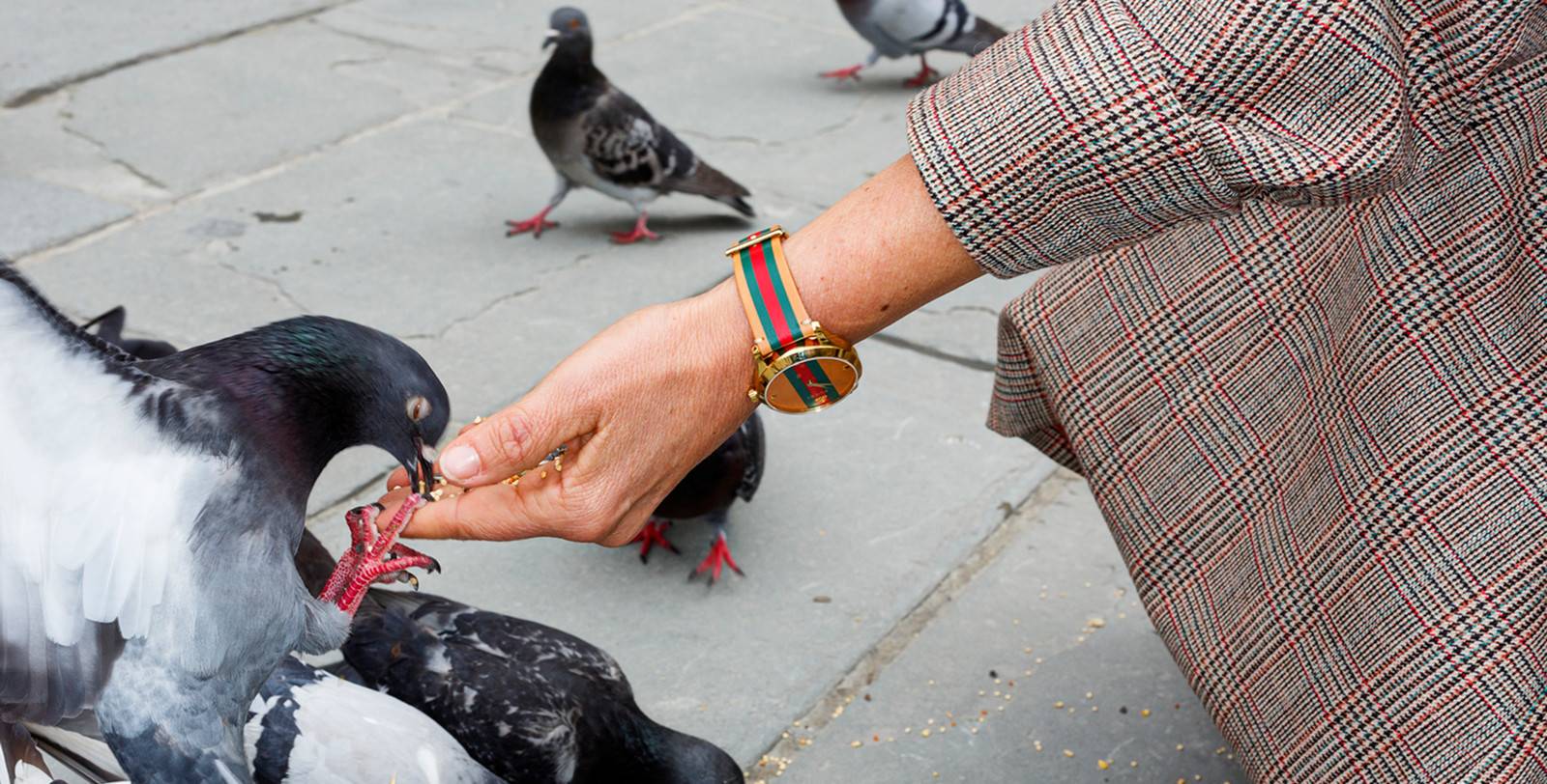Martin Parr goes around the world for Gucci 