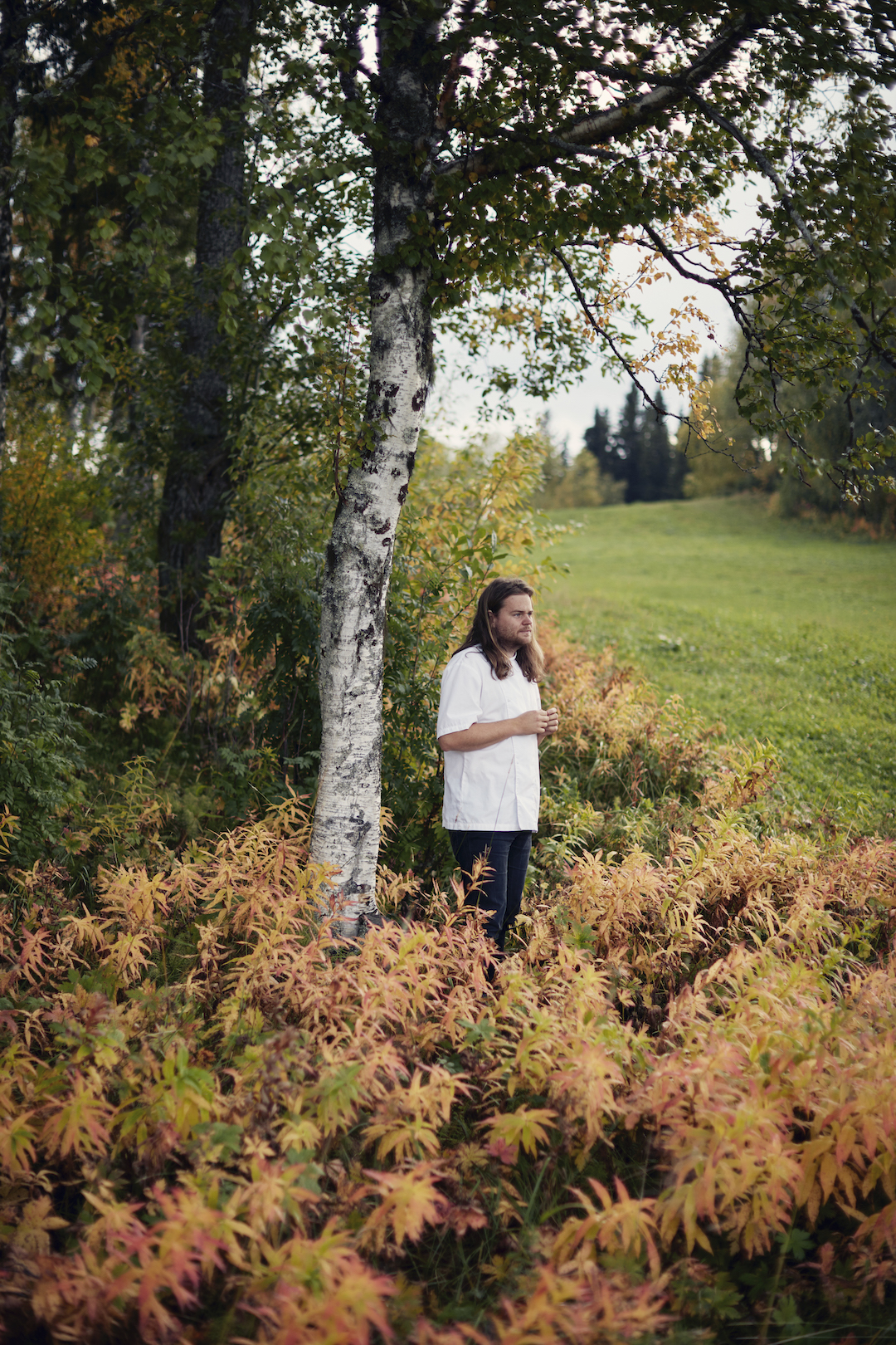 Magnus Nilsson. All photographs by Erik Olsson