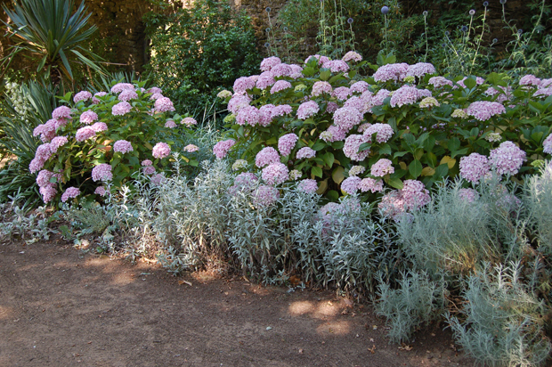 Gertrude Jekyll's 5 tips to make any garden look great, design, Agenda