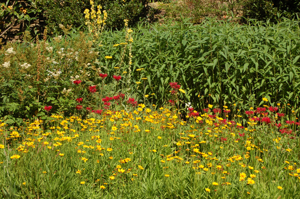 Gertrude Jekyll's 5 tips to make any garden look great, design, Agenda