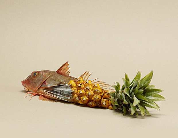 Meet the photographer who plays with his food