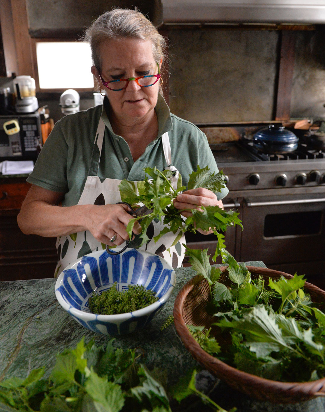 Nancy Singleton Hachisu, author of Japan the Cookbook