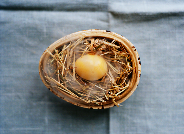 Smoked quail egg from Noma photographed by Ditte Isager